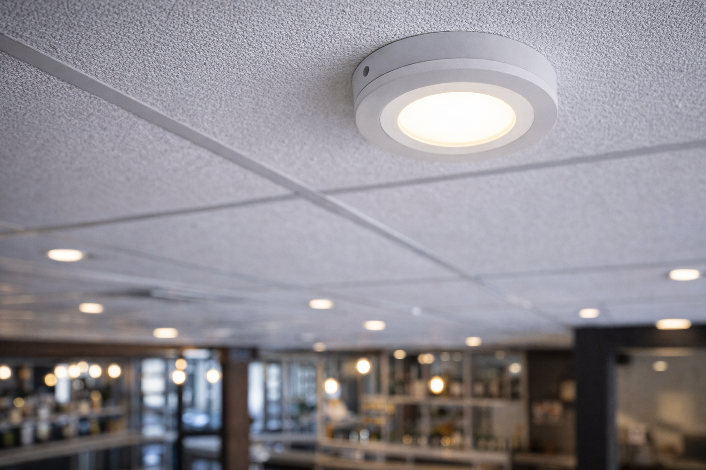 đĄ LED downlight ugradbeni 9 W (6 W + 3 W), 640 lm, zakretni â profesionalna rasvjeta