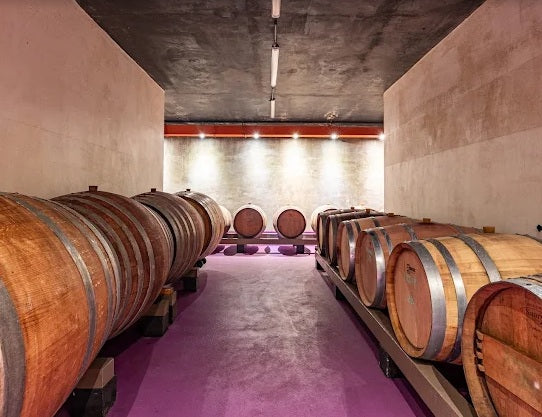 Divina Vina: Vinarija u atomskom skloništu na Pujankama