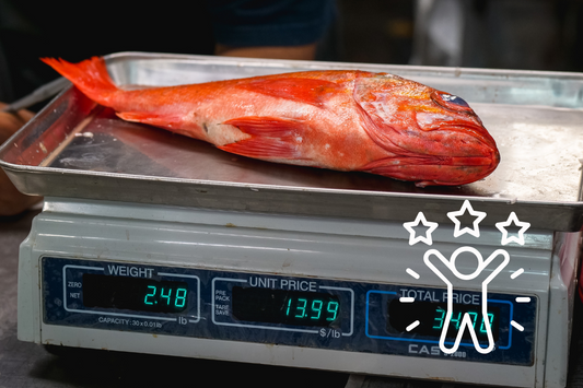 Vaga za ugostiteljstvo: gdje kupiti i gdje baždariti?