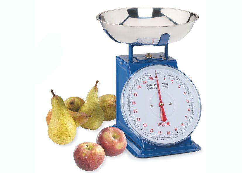 Analogna vaga 20 kg inox - mjernje na 100g - EVA Blue