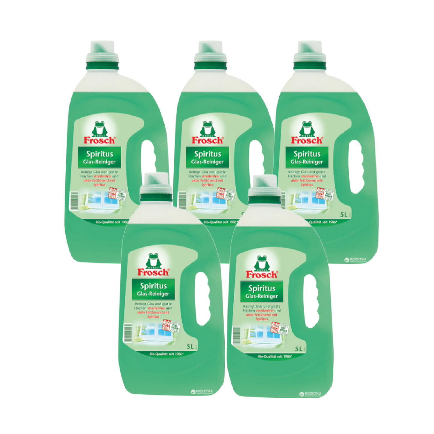 Frosch 5L za stakla 5/1