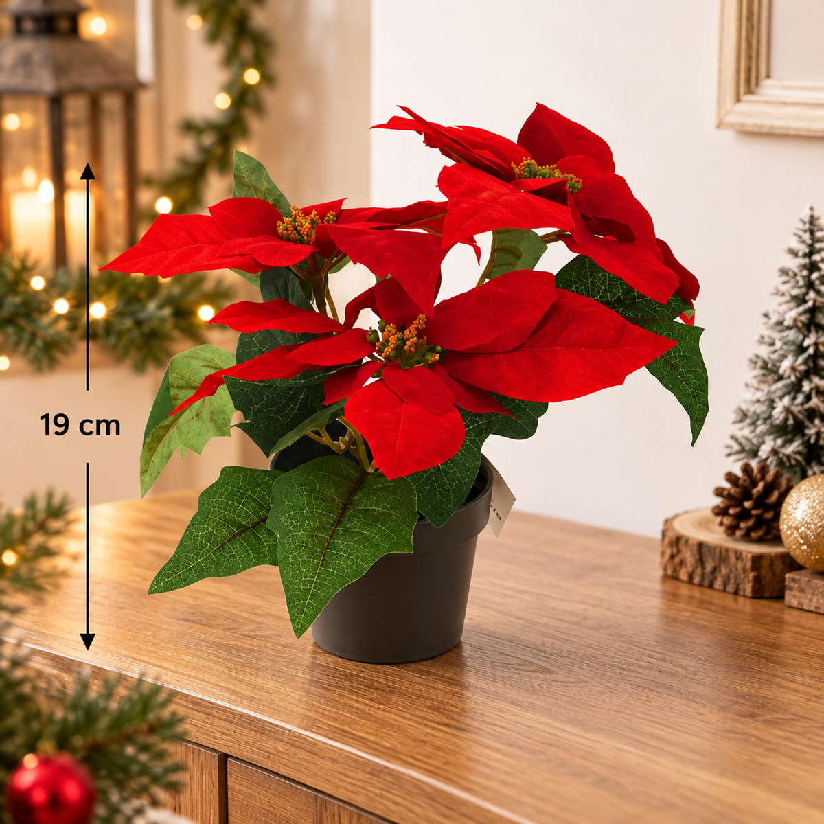 Božićna zvijezda u teglici – crvena, 19 cm