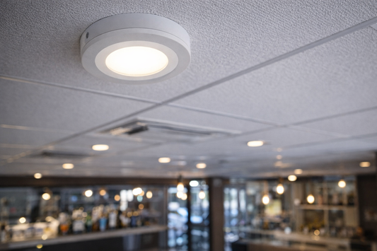 LED downlight, ugradbeni LED downlight, LED rasvjeta 9 W, zakretni LED downlight, LED downlight za apartmane, LED rasvjeta za apartmane, LED rasvjeta za hotele, LED rasvjeta za ugostiteljstvo, ugradbena LED rasvjeta, LED plafonska rasvjeta, LED svjetlo 640 lm, LED downlight IP20, LED rasvjeta unutarnja, LED svjetlo RA 80, profesionalna LED rasvjeta, LED rasvjeta za hodnik, LED rasvjeta za kupaonicu, LED rasvjeta za poslovni prostor, energetski učinkovita LED rasvjeta, LED downlight za strop, LED rasvjeta za