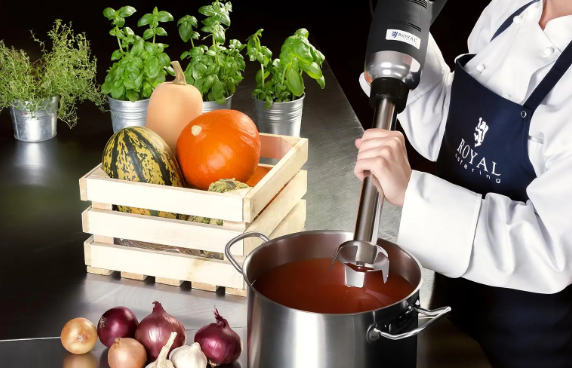 Ručni blender – 350 W – 400 mm | Royal Catering